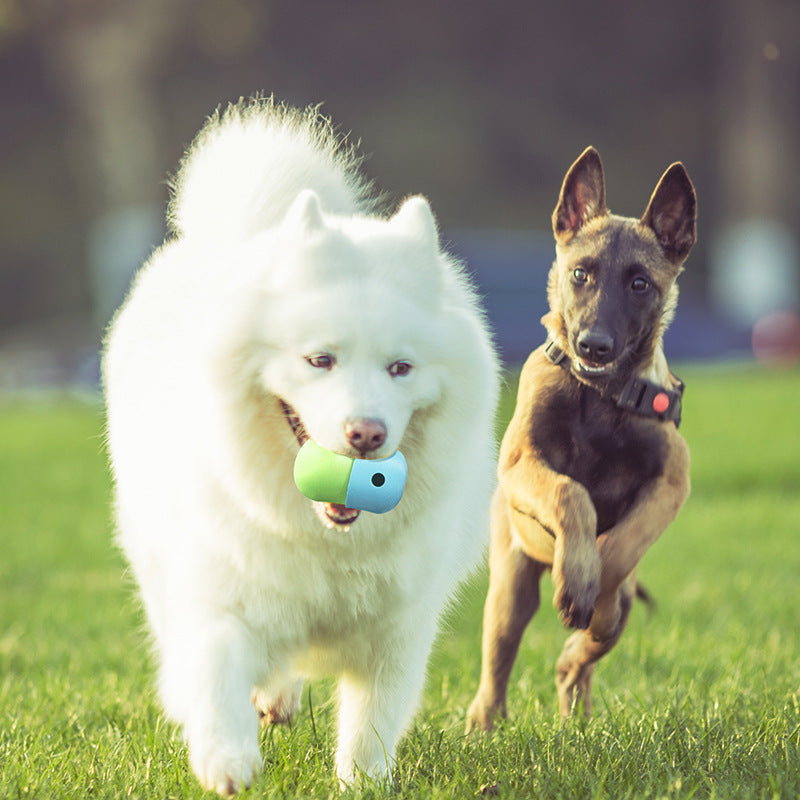 Refillable Treat Toy