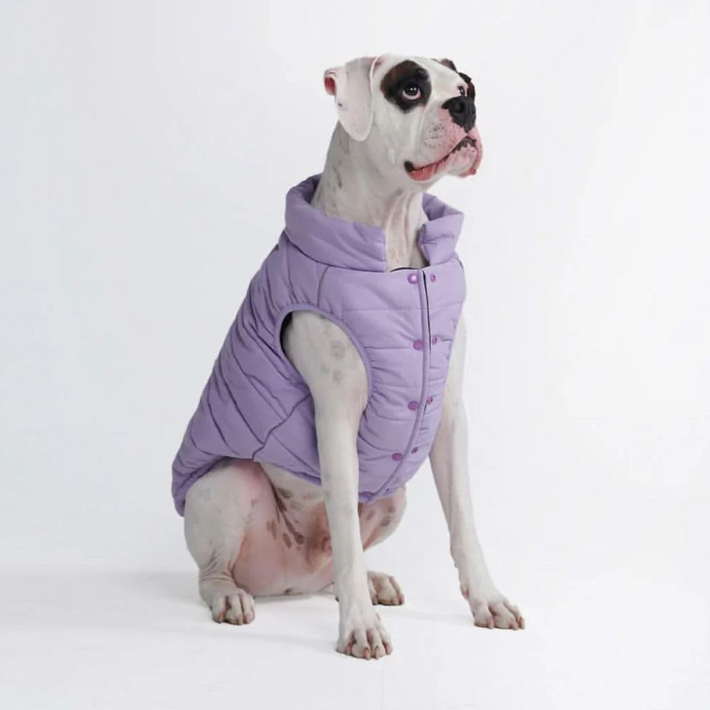 TrailClub™ Winter Dog Coat