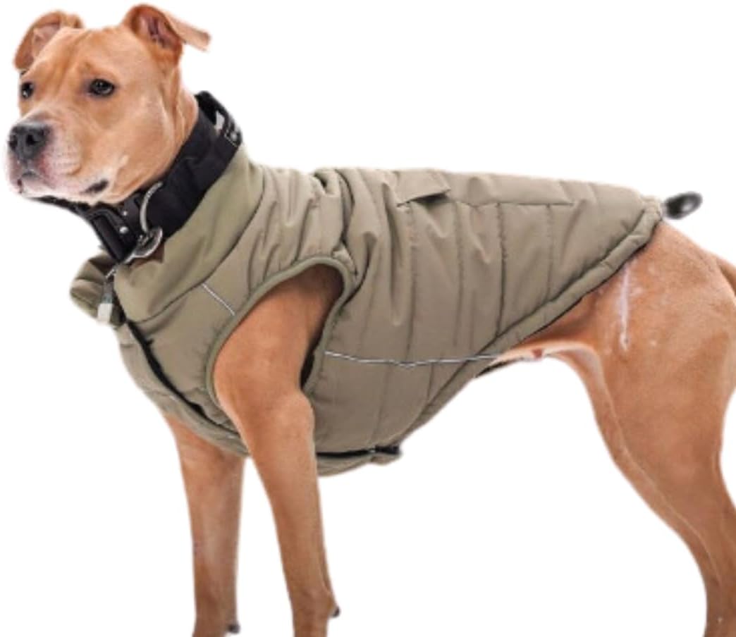 TrailClub™ Winter Dog Coat