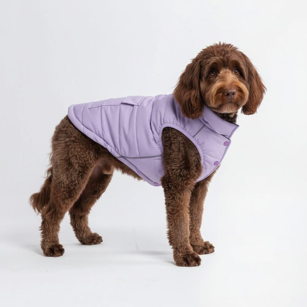 TrailClub™ Winter Dog Coat