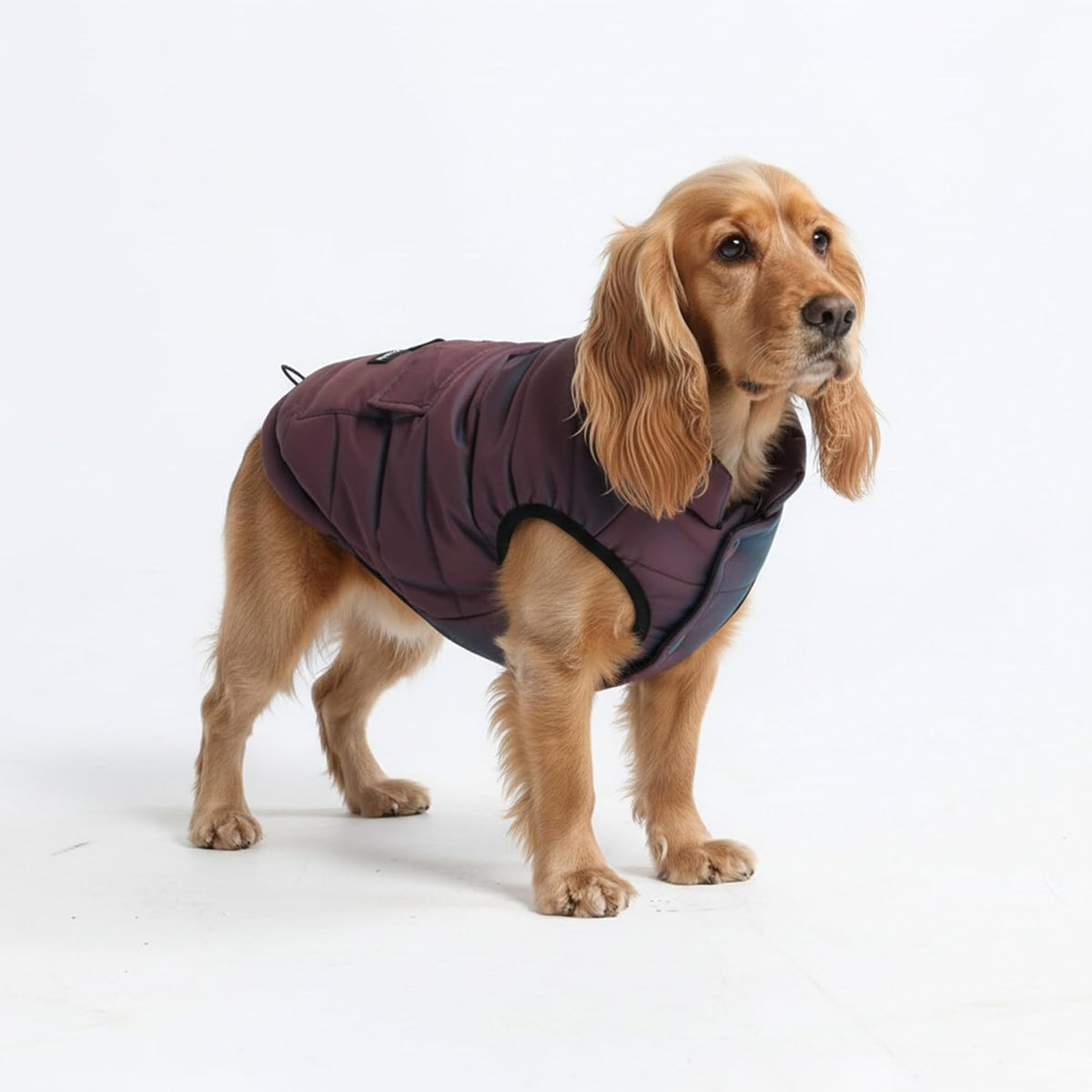 TrailClub™ Winter Dog Coat
