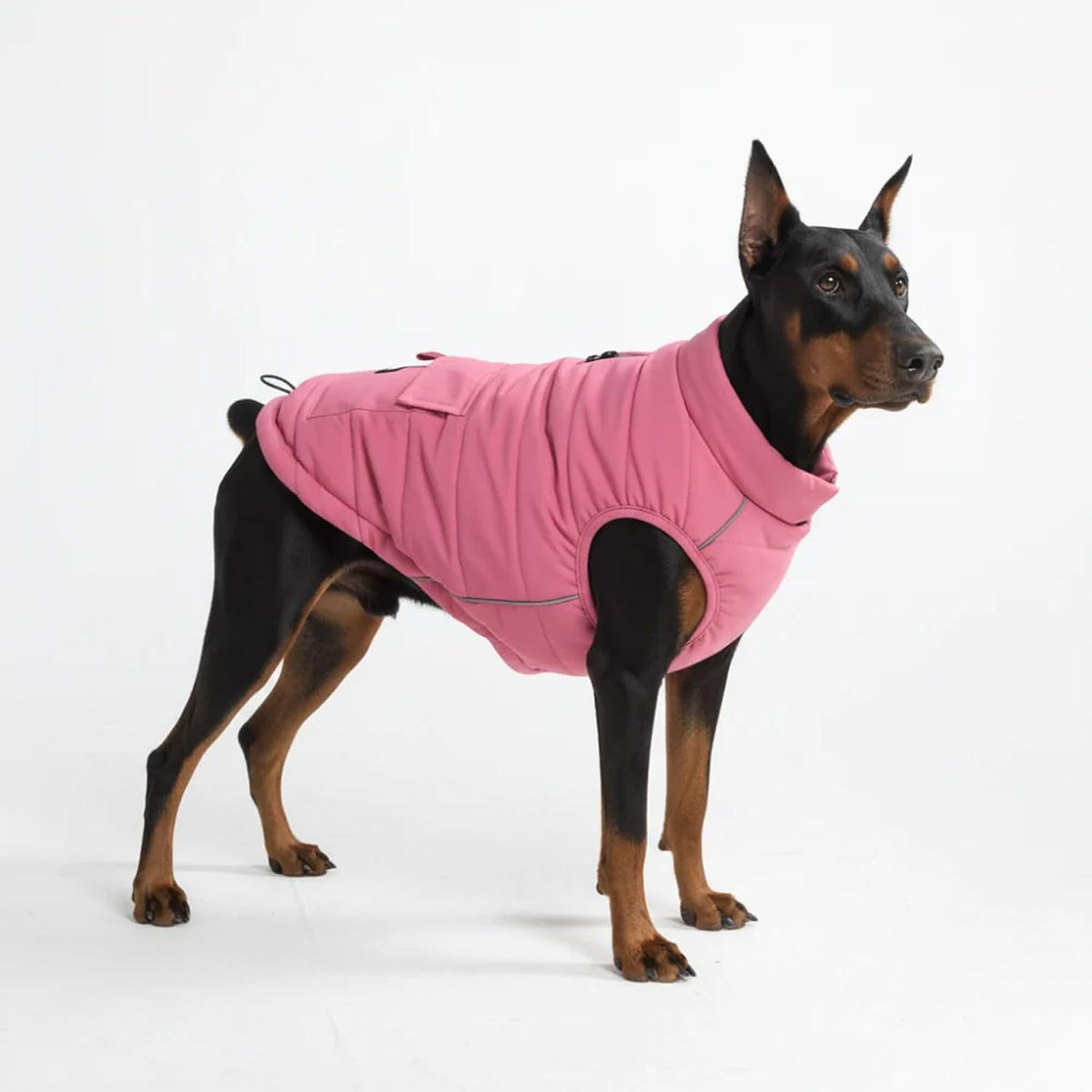 TrailClub™ Winter Dog Coat