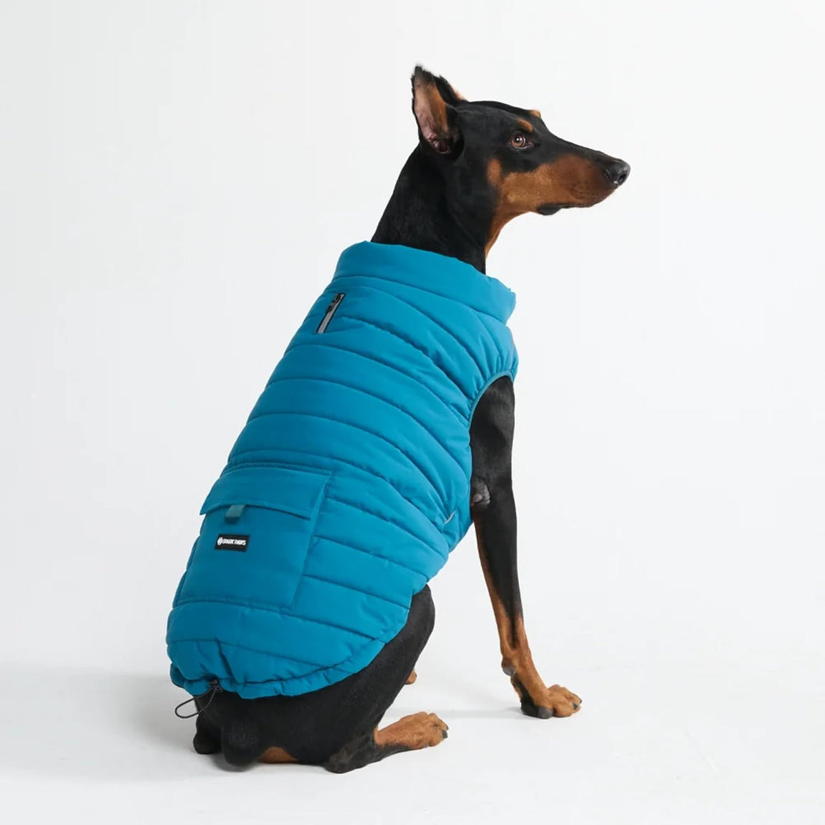 TrailClub™ Winter Dog Coat