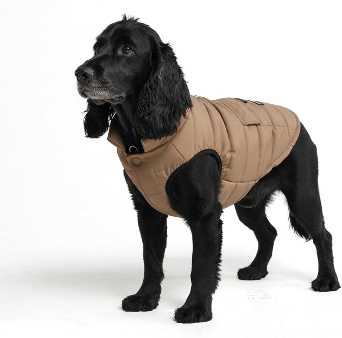 TrailClub™ Winter Dog Coat