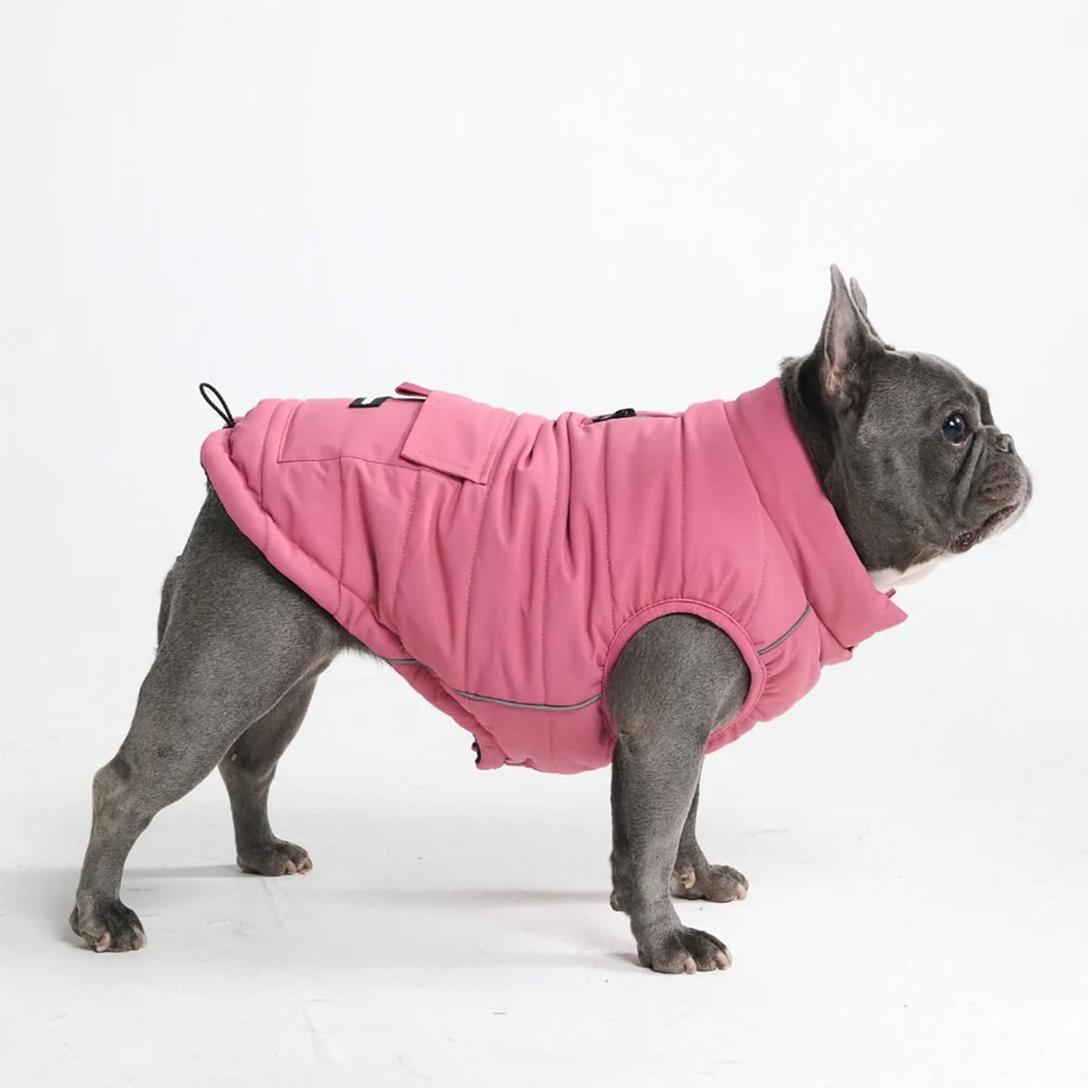 TrailClub™ Winter Dog Coat