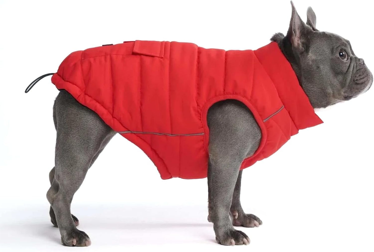 TrailClub™ Winter Dog Coat