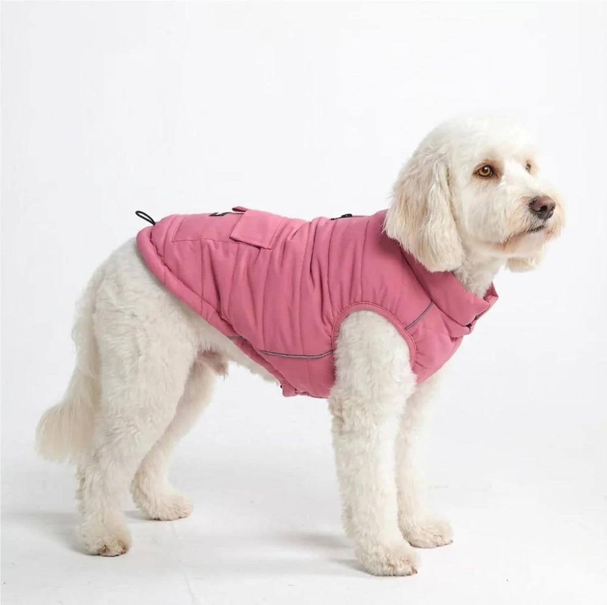 TrailClub™ Winter Dog Coat