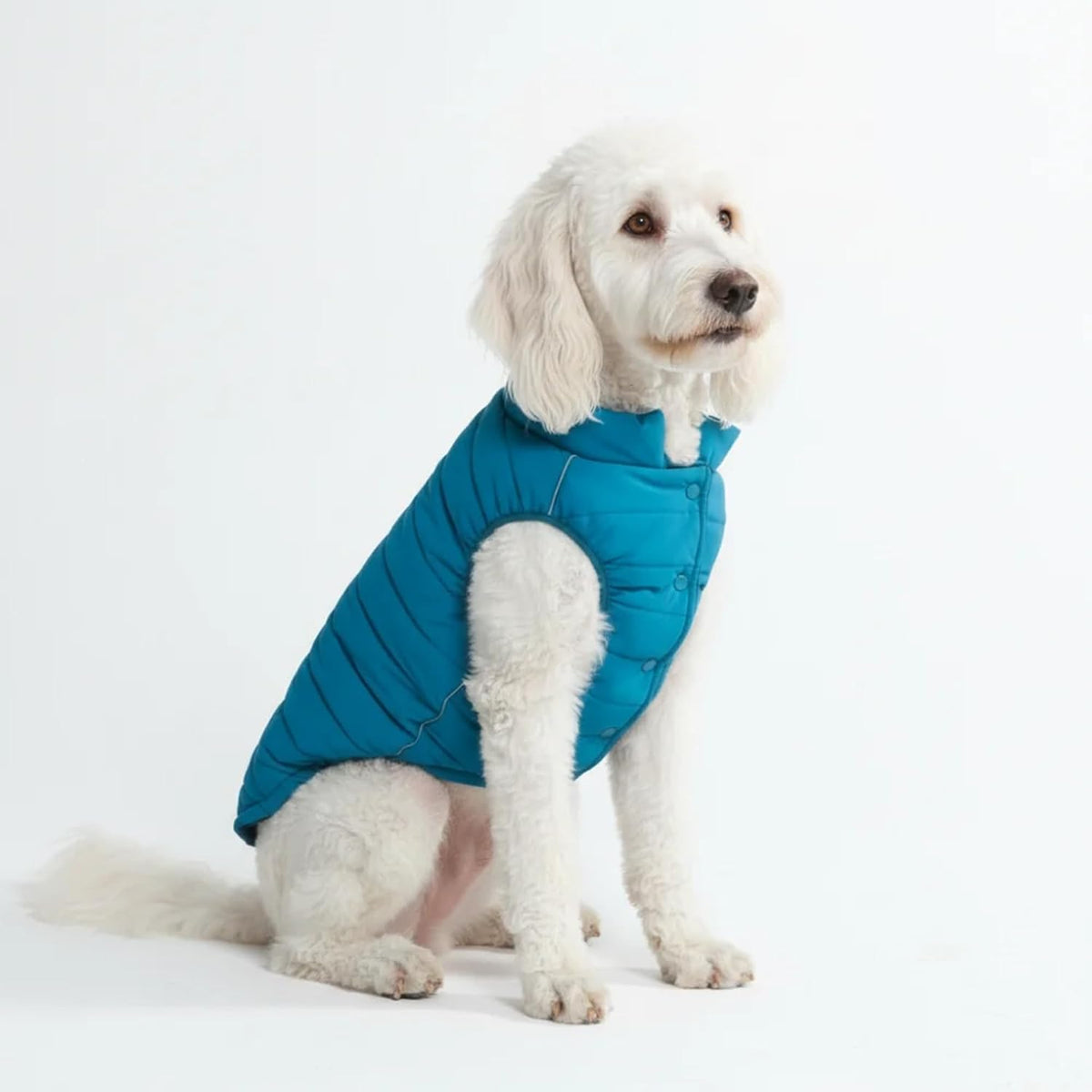 TrailClub™ Winter Dog Coat