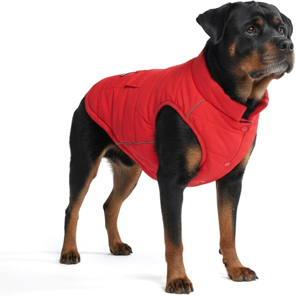 TrailClub™ Winter Dog Coat