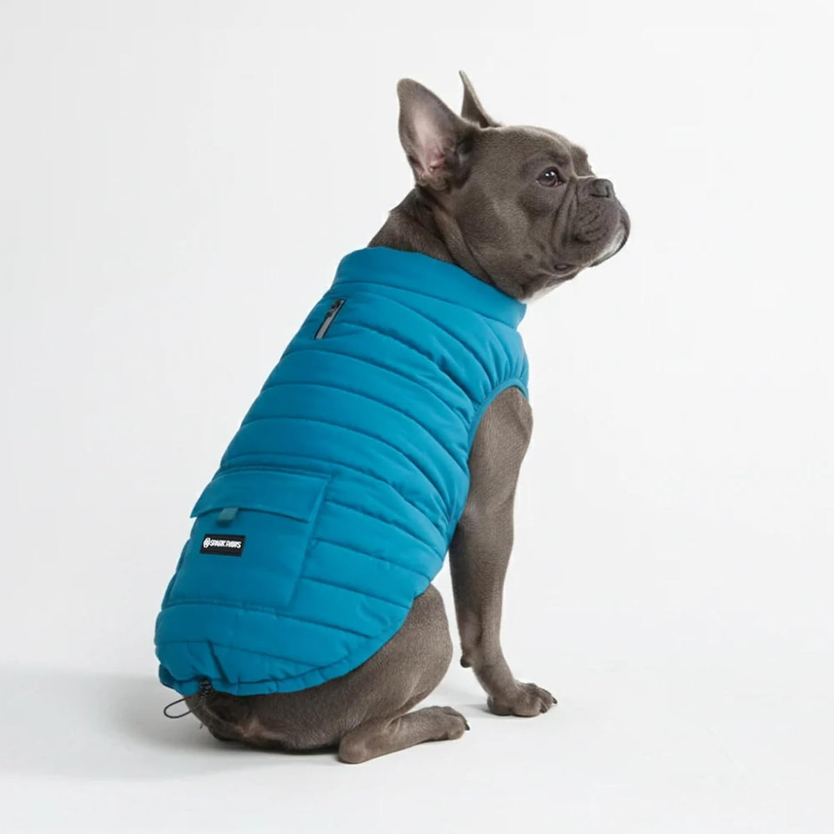 TrailClub™ Winter Dog Coat