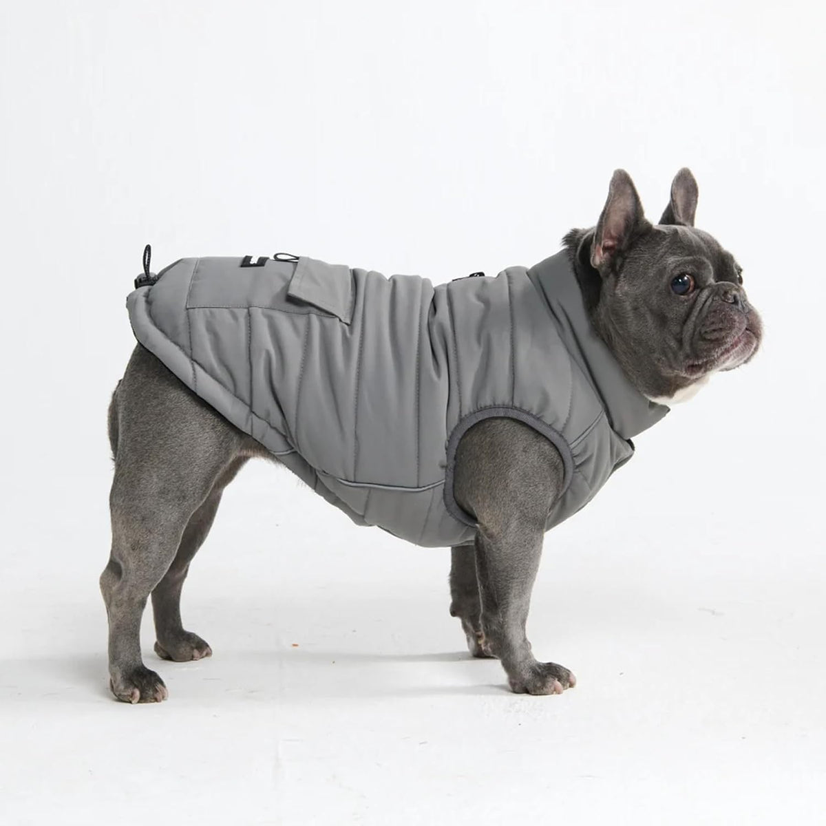 TrailClub™ Winter Dog Coat