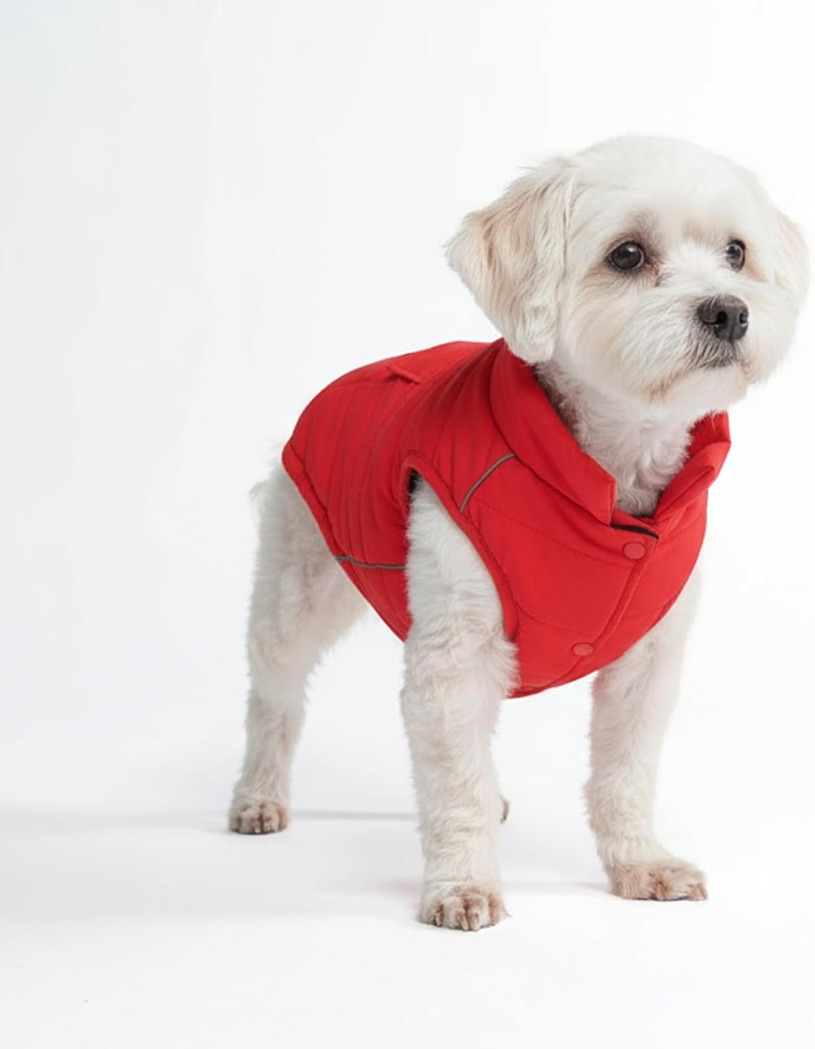 TrailClub™ Winter Dog Coat