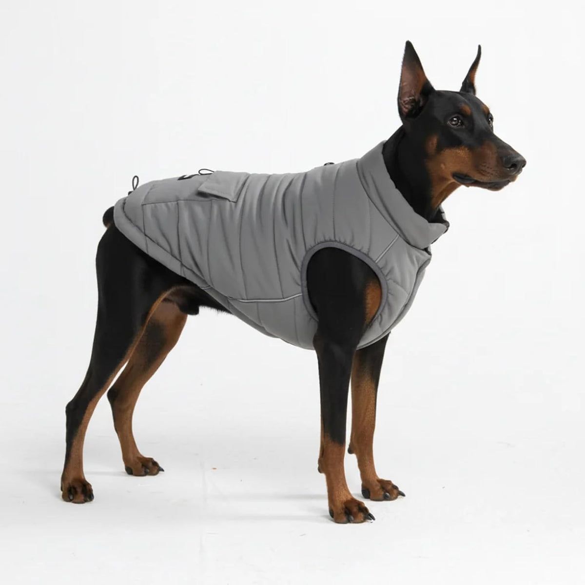TrailClub™ Winter Dog Coat