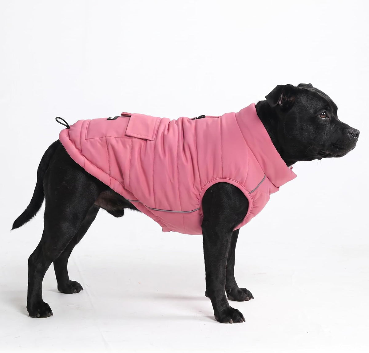 TrailClub™ Winter Dog Coat