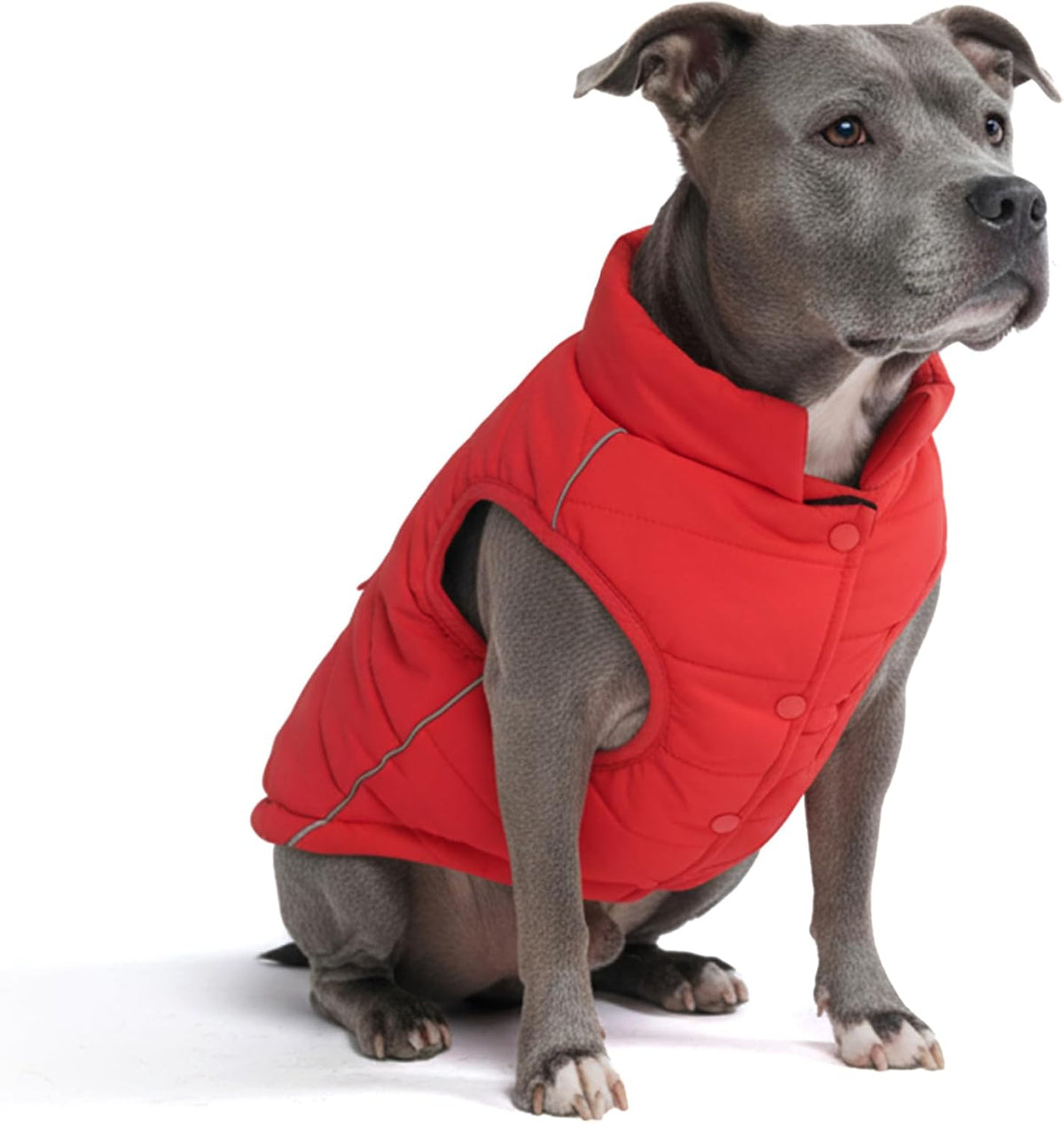 TrailClub™ Winter Dog Coat