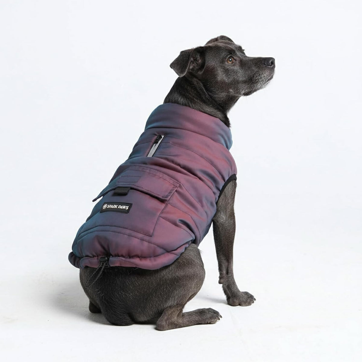 TrailClub™ Winter Dog Coat