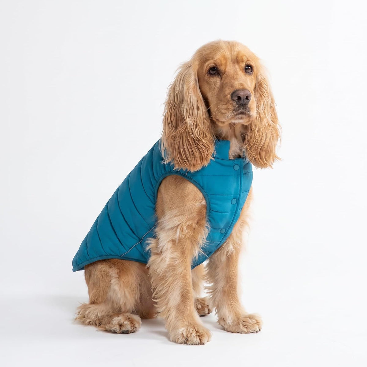 TrailClub™ Winter Dog Coat