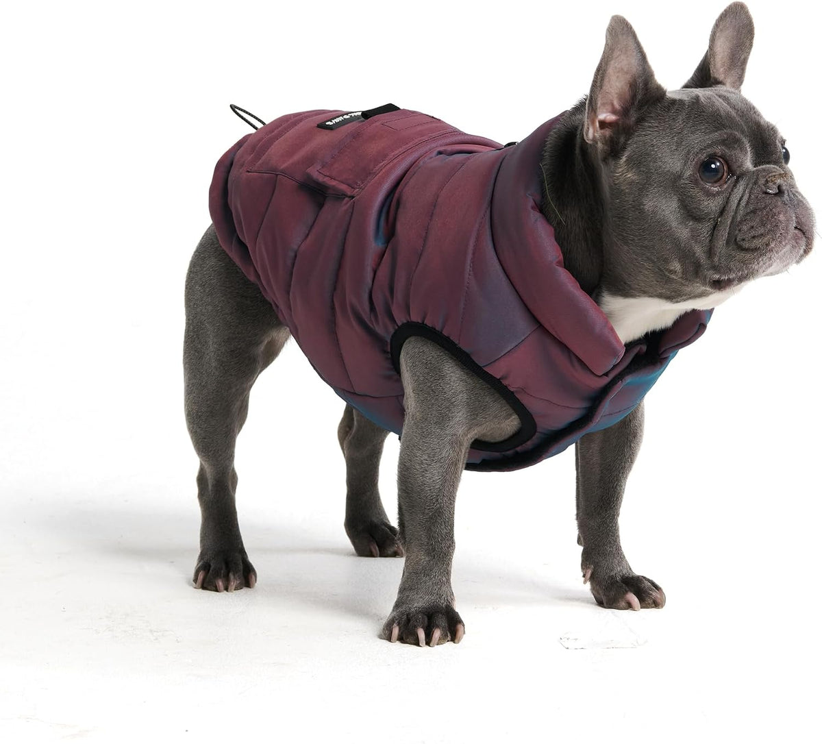 TrailClub™ Winter Dog Coat