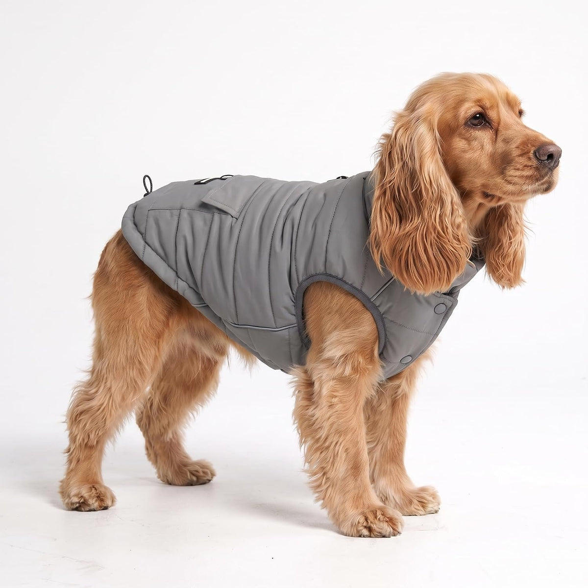 TrailClub™ Winter Dog Coat