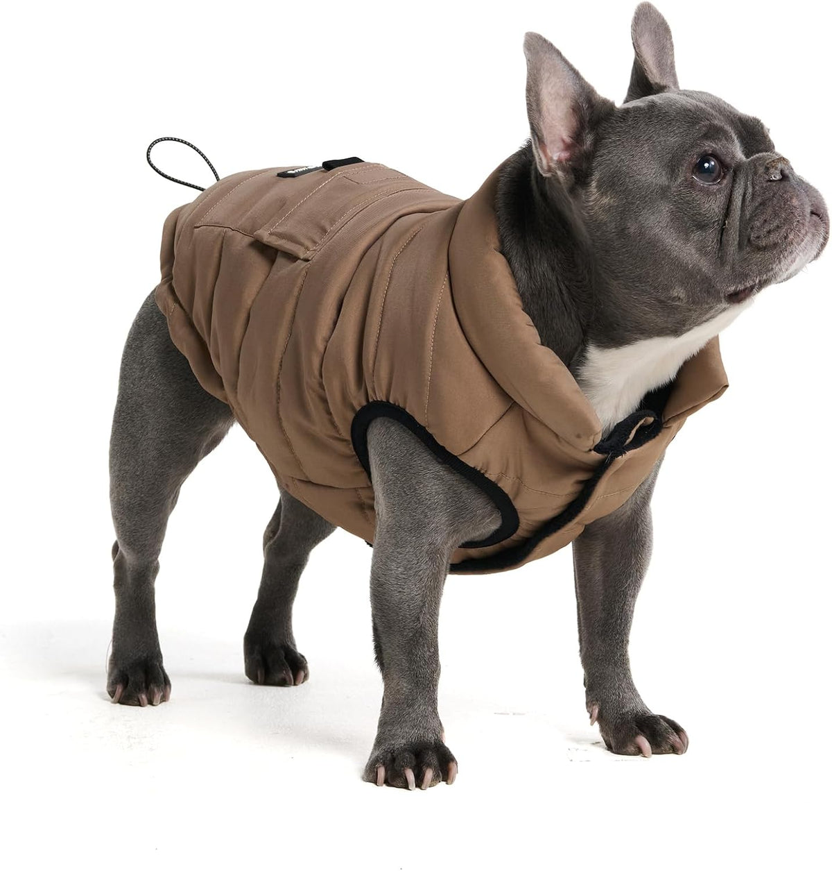 TrailClub™ Winter Dog Coat