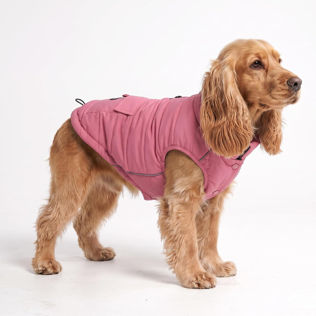 TrailClub™ Winter Dog Coat