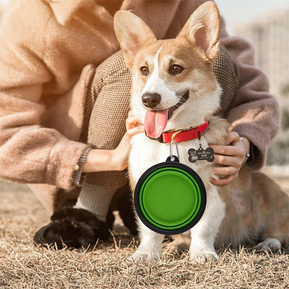 Large Foldable Dog Bowls with Carabiner Clips, 2 Pack, Green+Blue