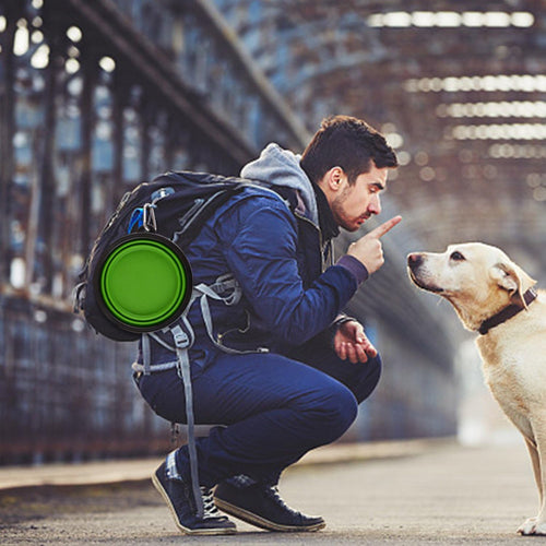 Large Foldable Dog Bowls with Carabiner Clips, 2 Pack, Green+Blue